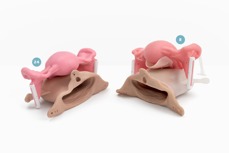 Miya Model – Vaginal Hysterectomy Simulation Package – Large – Miyazaki
