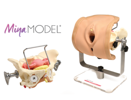 What Differentiates the Miya Model From Other Pelvic Models?