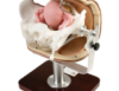 Training Anywhere: How Lightweight, Portable Simulation Expands Access to Education